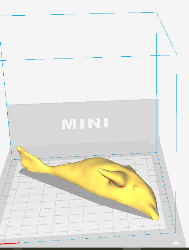 dolphin cura.jpg