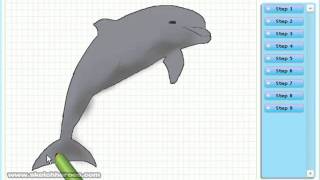 dolphin.jpg