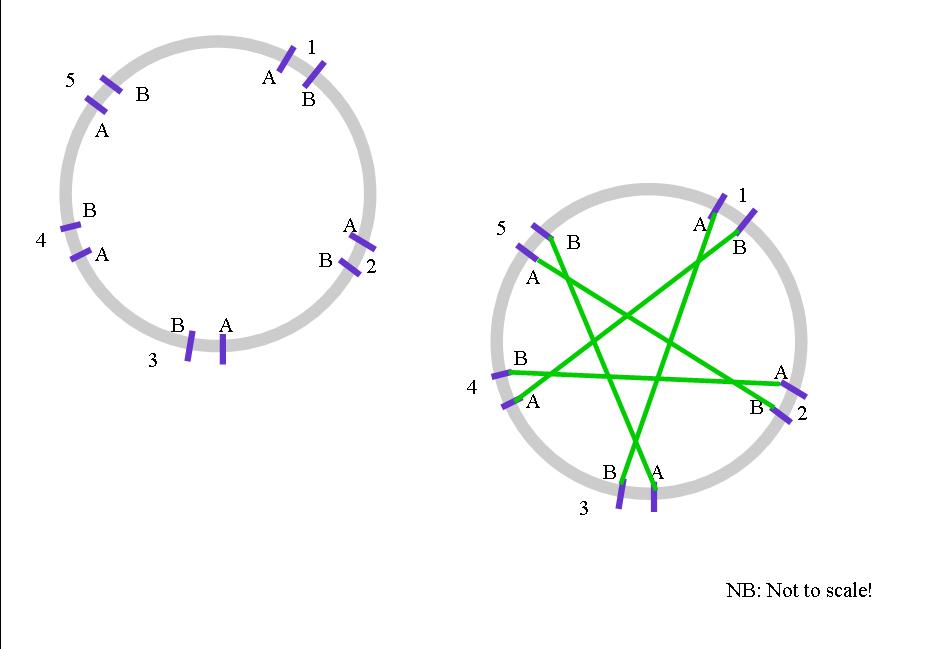 dome diagram 4.jpg