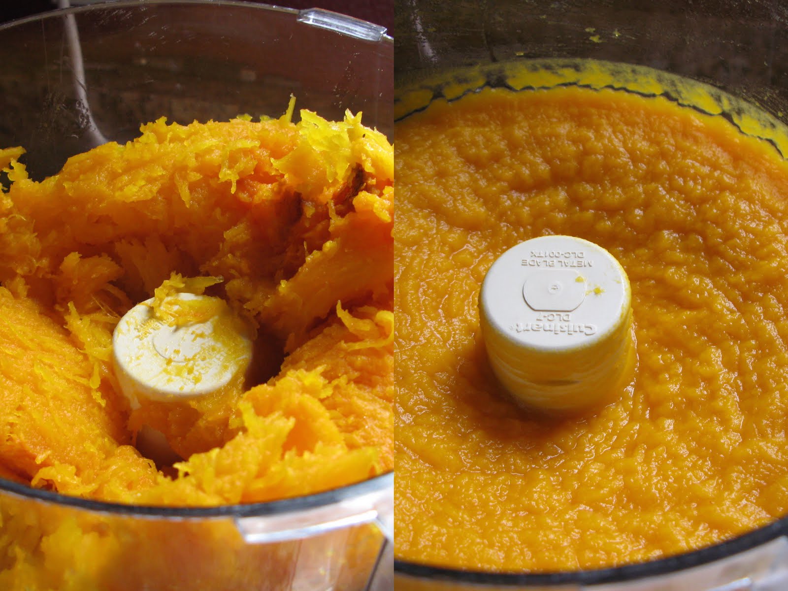 don cereal_pumpkin puree 11_10.jpg