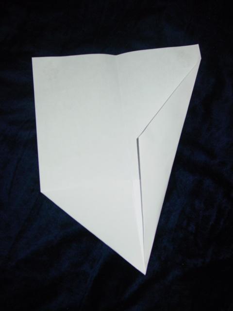 double fold 1.JPG