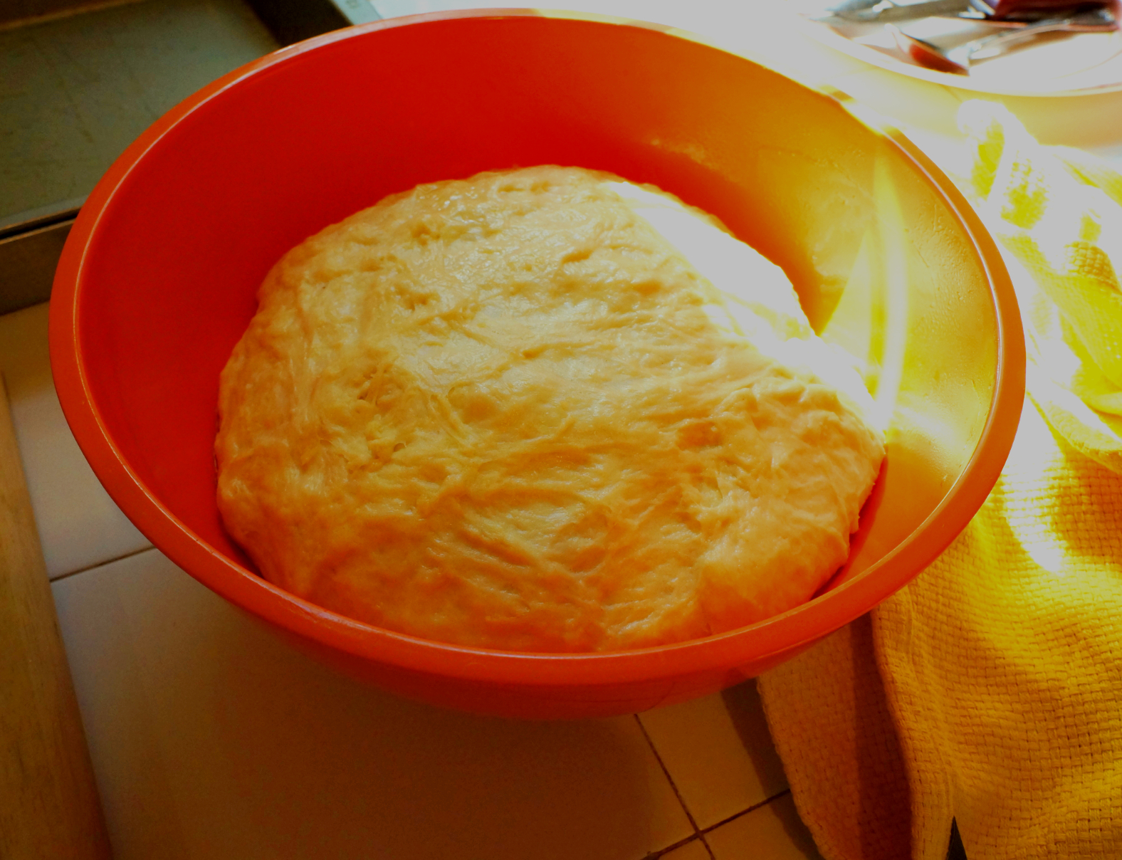 dough bowl.jpg