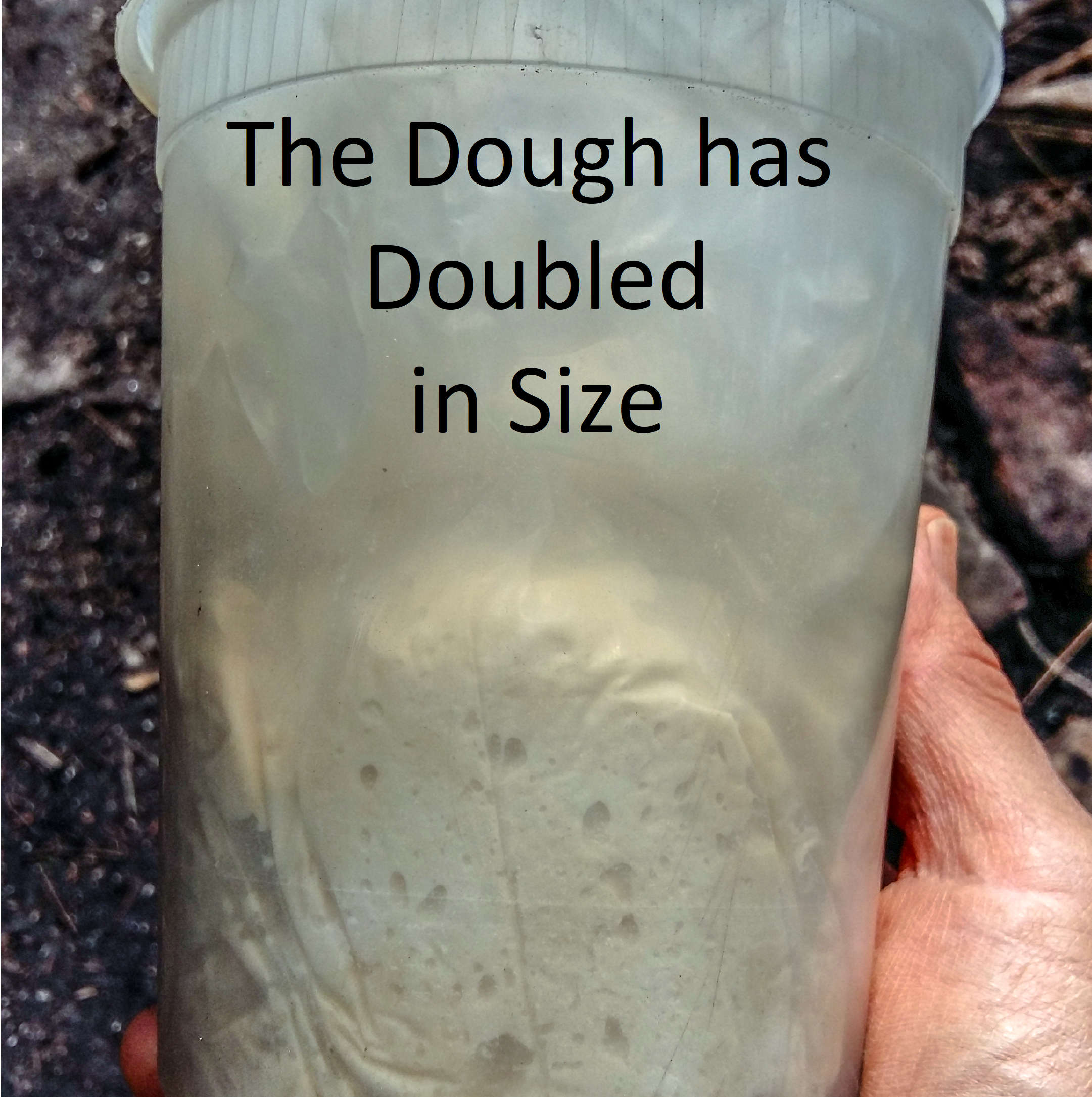 dough is ready.png