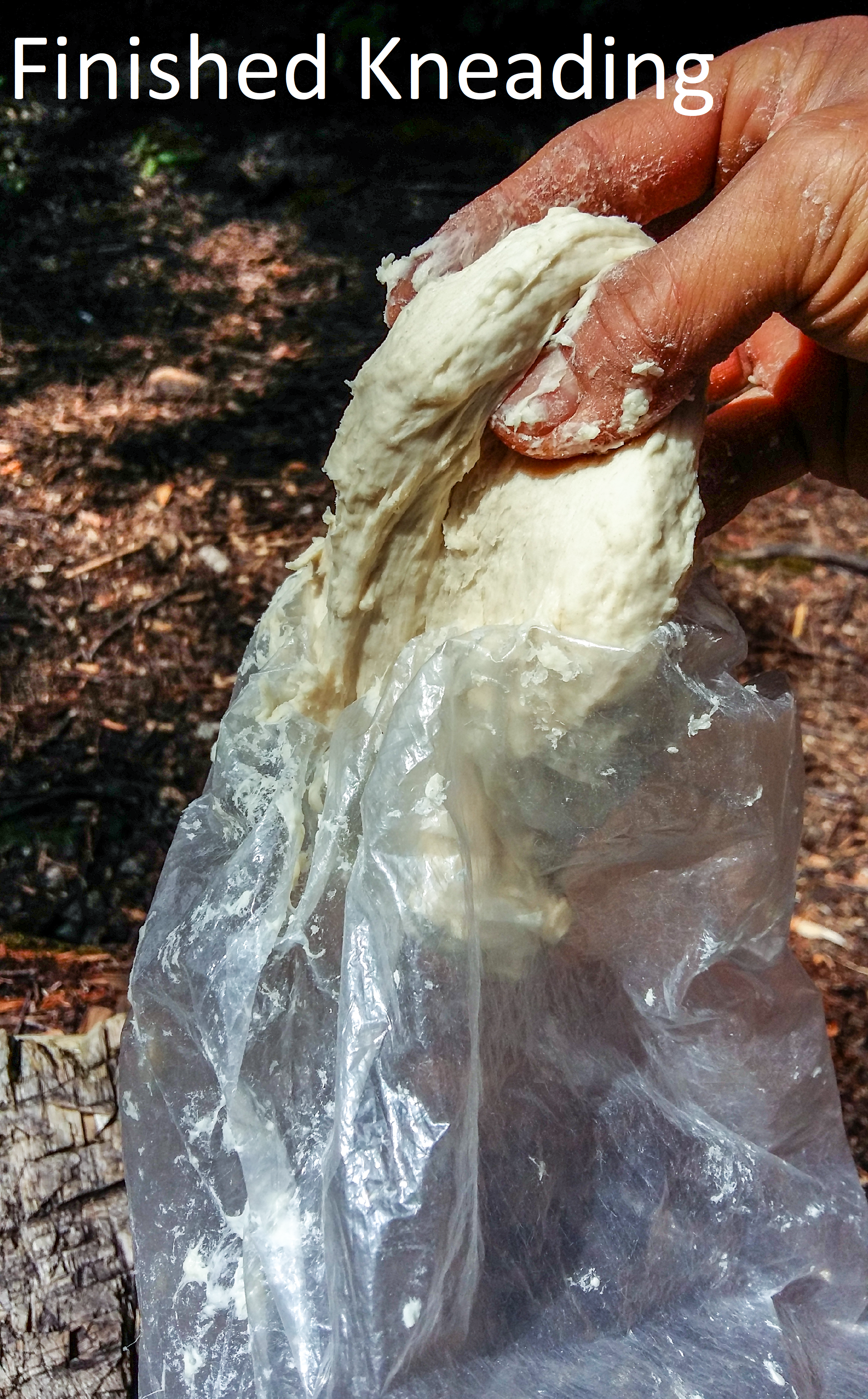 dough kneaded.png