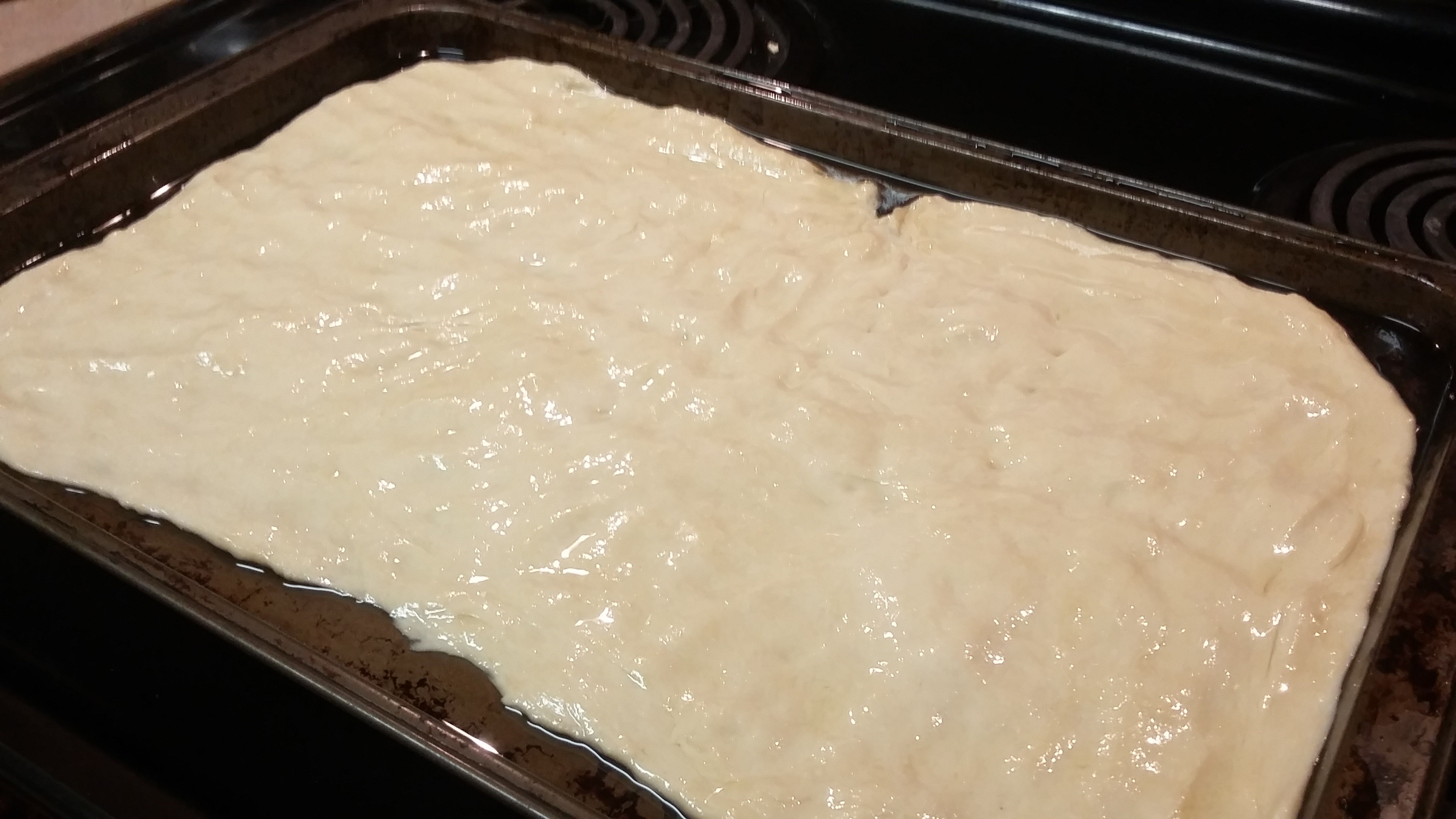 dough placed in the pan.jpg