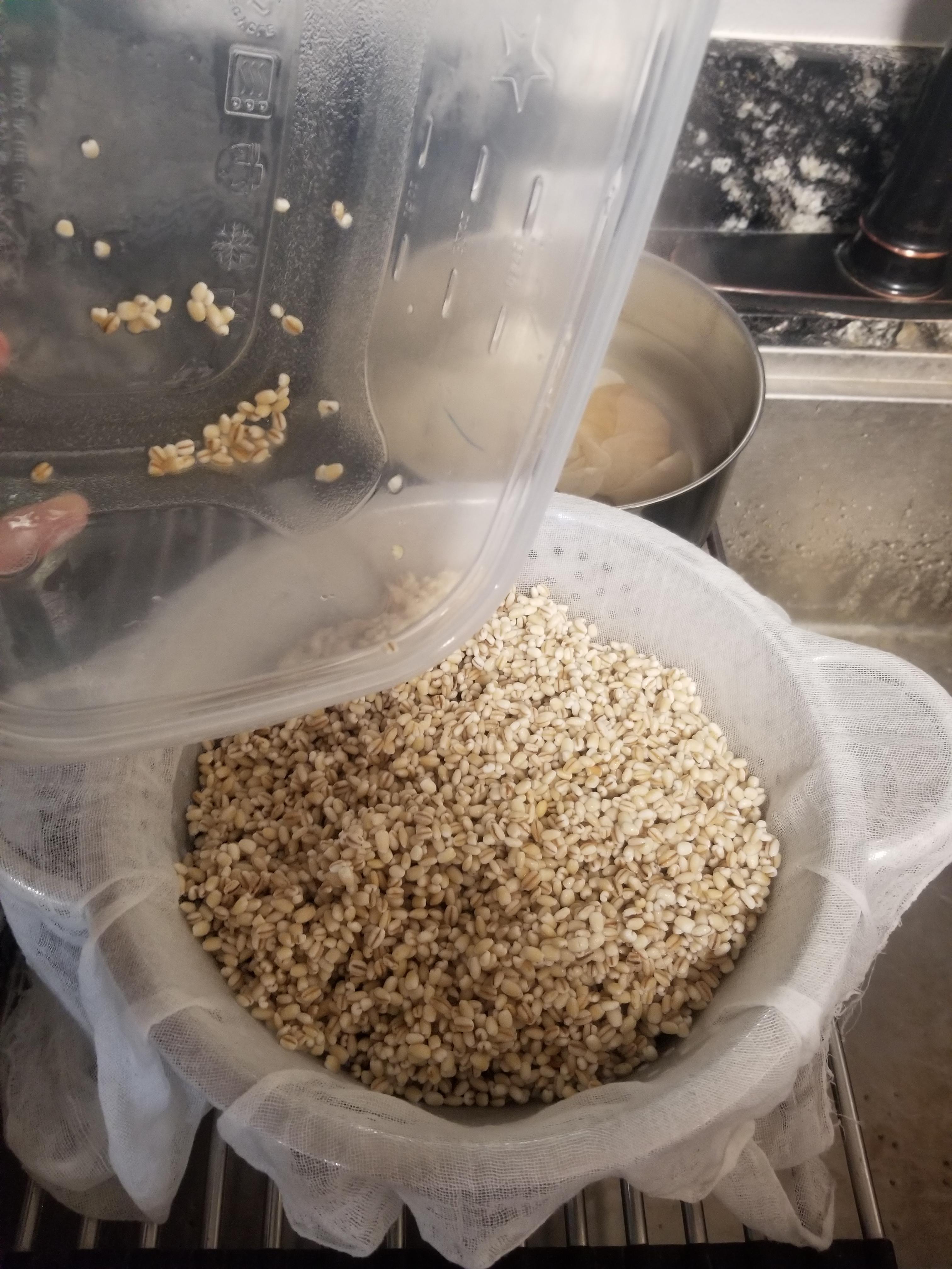 draining grains.jpg