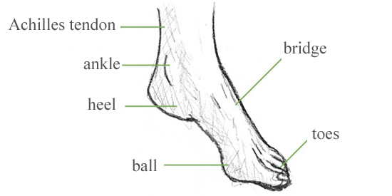 draw-feet-01.png