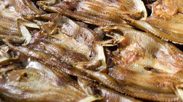 dried-fish.jpg