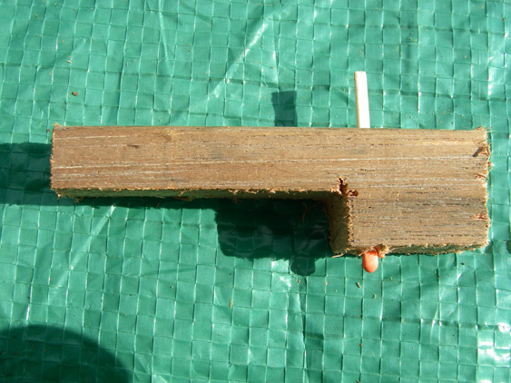 drill-holeX.jpg