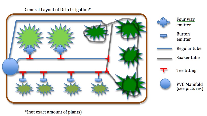 drip irrigation layout.jpg