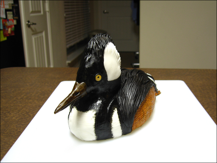 duckhuntingcake11sm.jpg