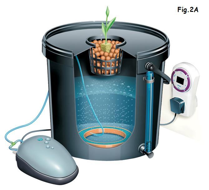 dwc cross section.jpg