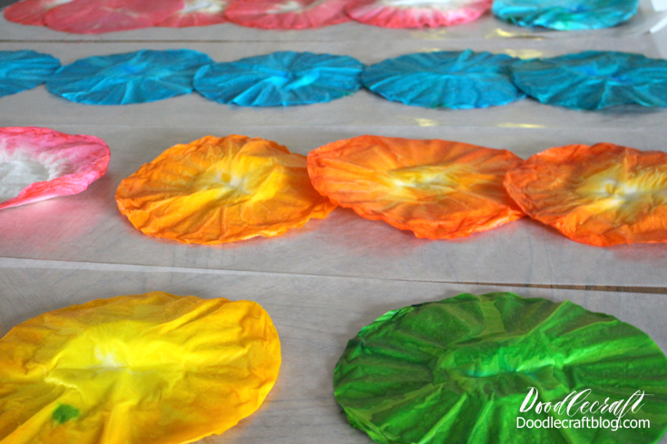 dying coffee filter flowers dyed dye tie  tissue paper flower craft wreath diy (4).JPG