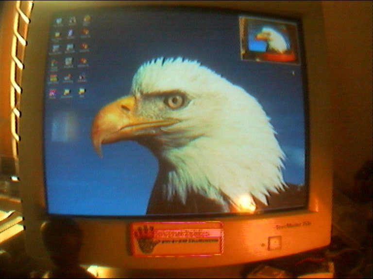 eagle01.jpg