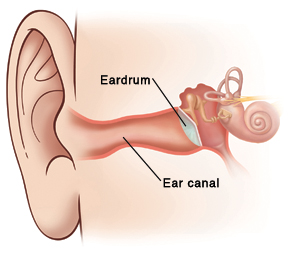 ear-canal.jpg