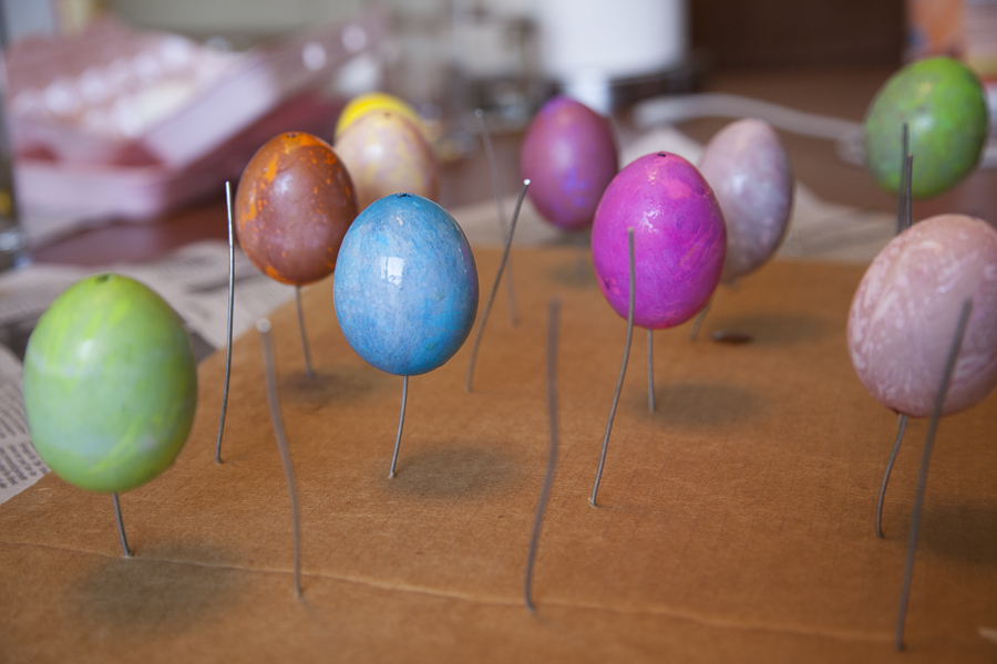 eastereggs-9068.jpg