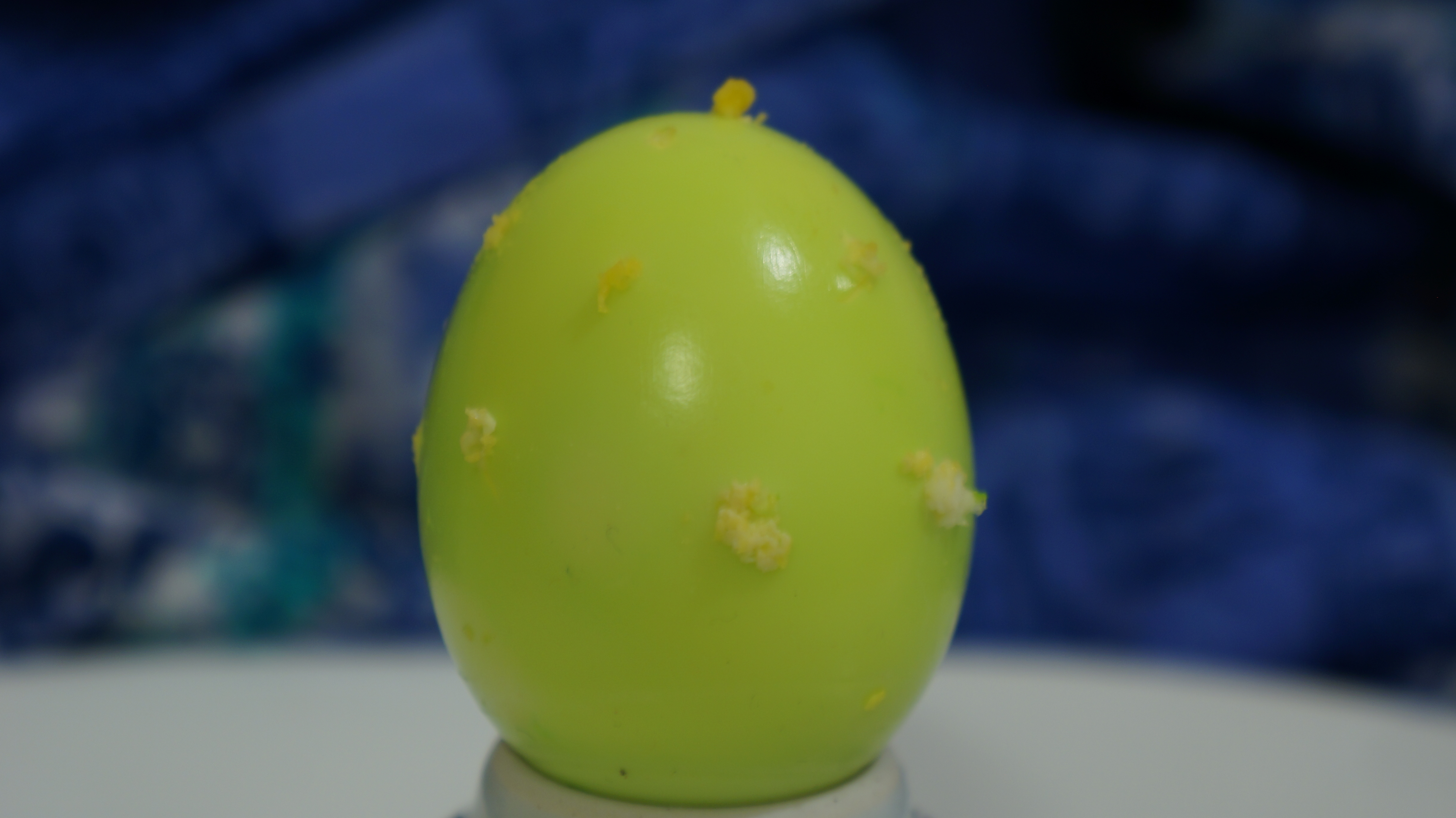 egg 010.JPG