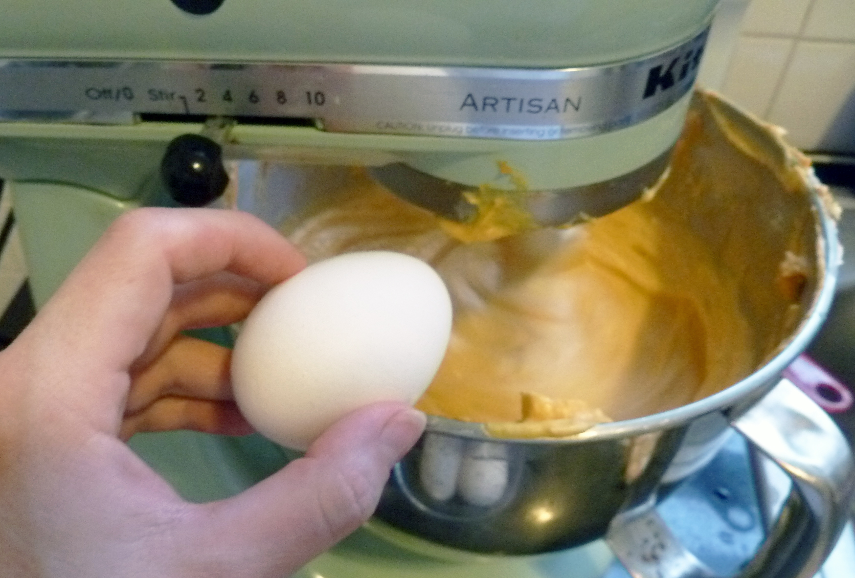 egg.jpg