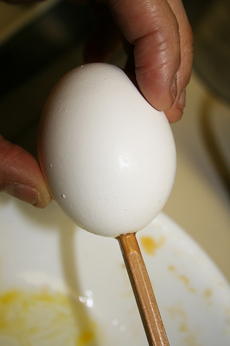 egg_hole.jpg