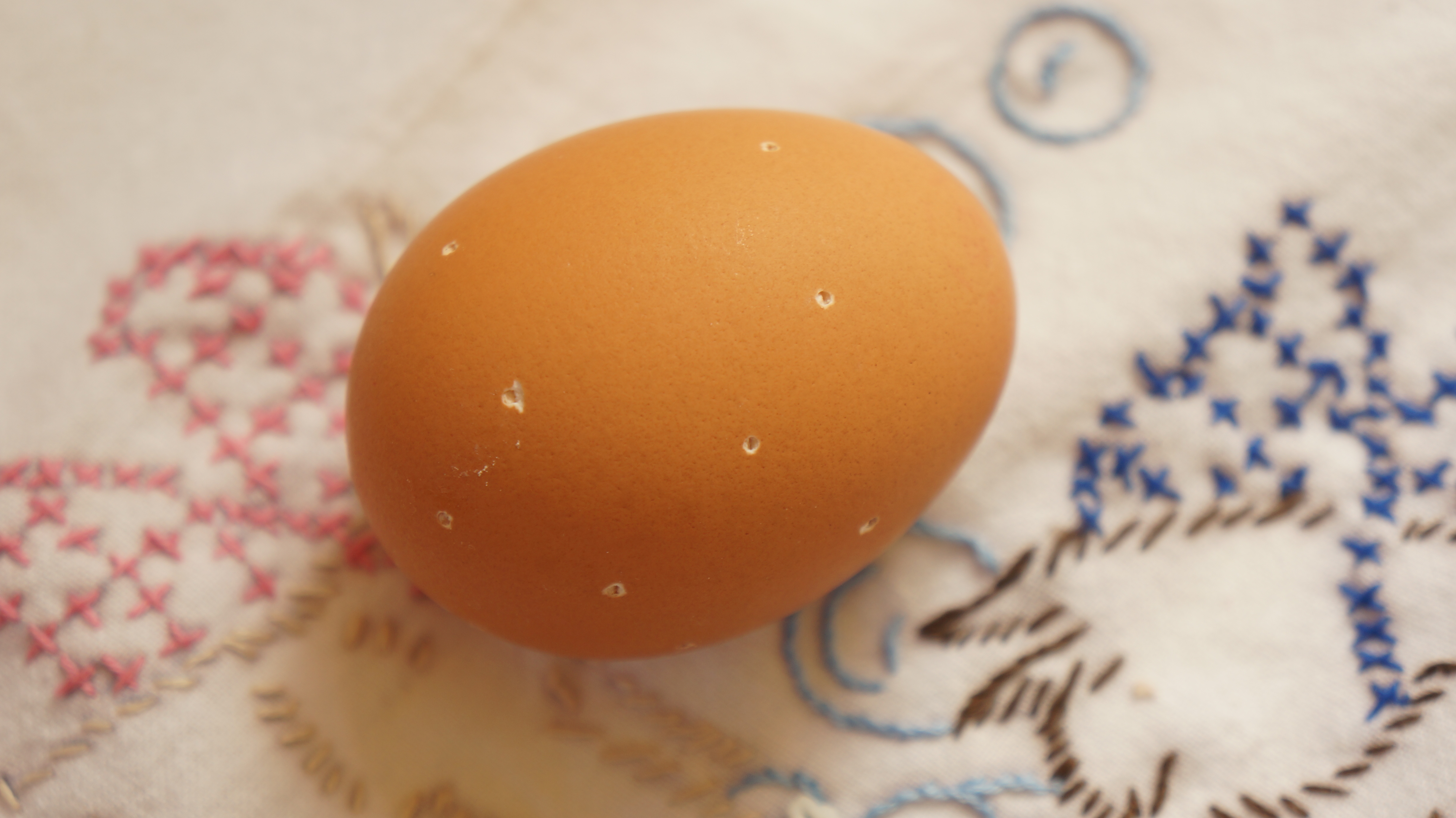 eggs 024.JPG