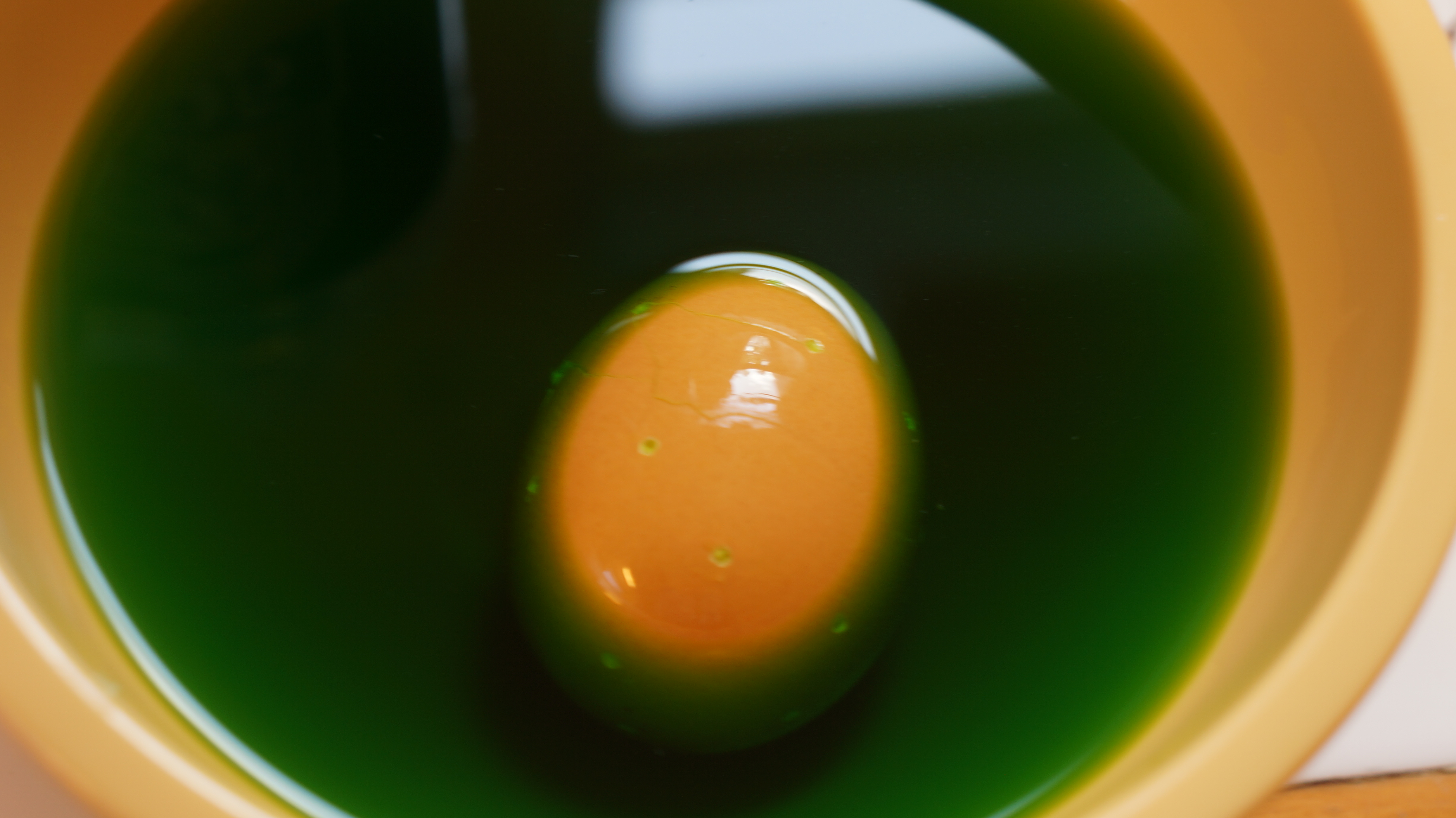 eggs 045.JPG