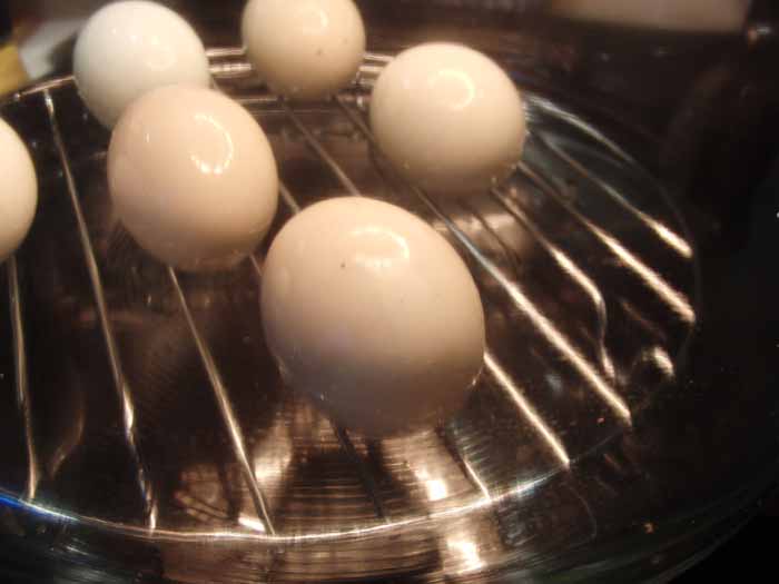 eggs being cookedweb.jpg