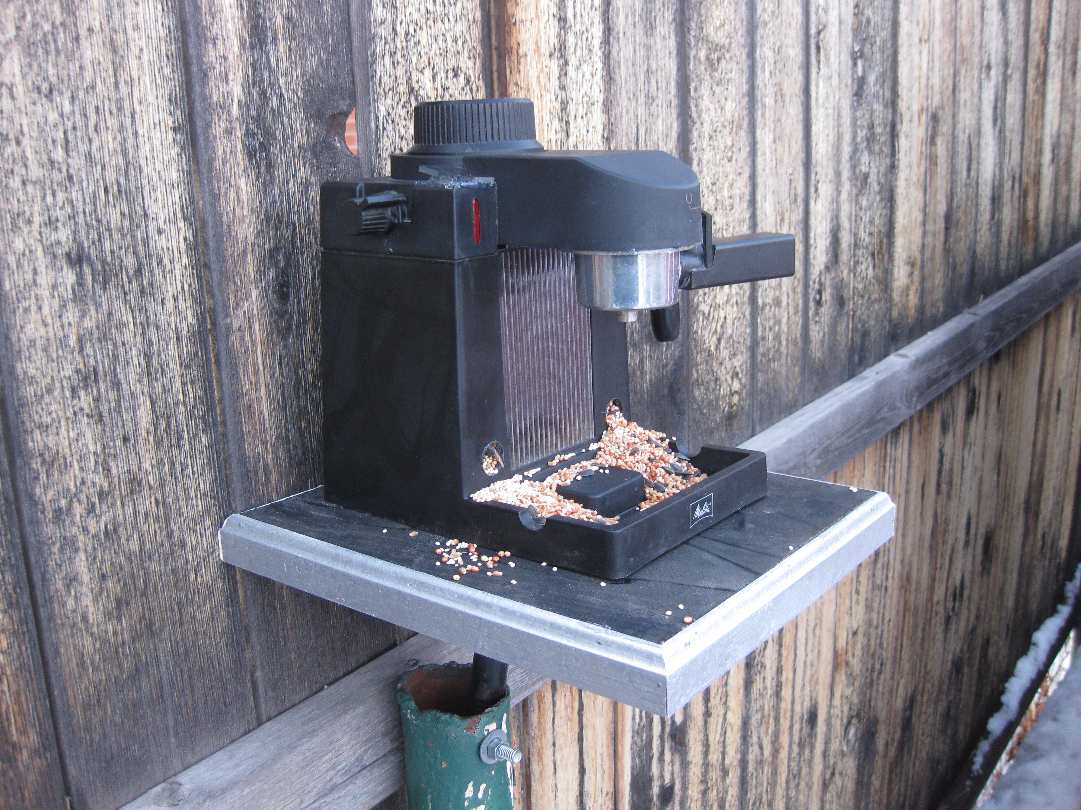 eggspressofeeder 103.jpg