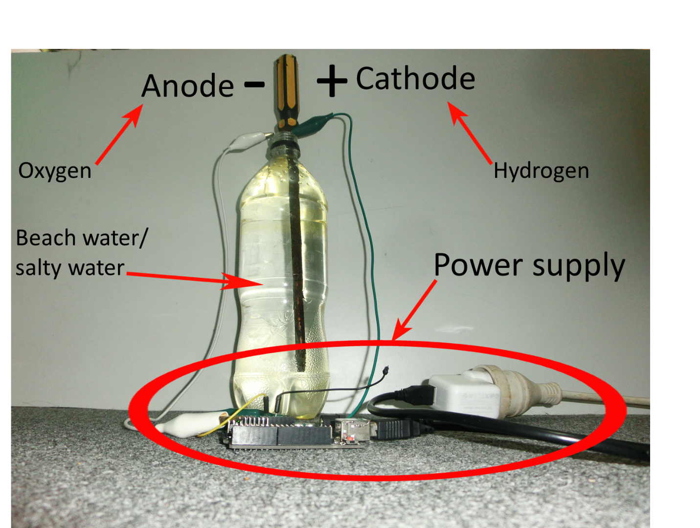 electrolosys set up.png