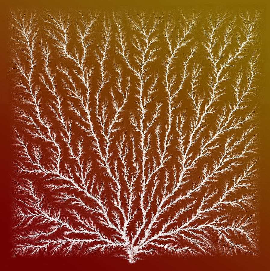 electron-tree-or-lichtenberg-figure-science-source.jpg