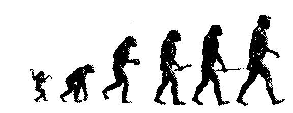 evolution.jpg