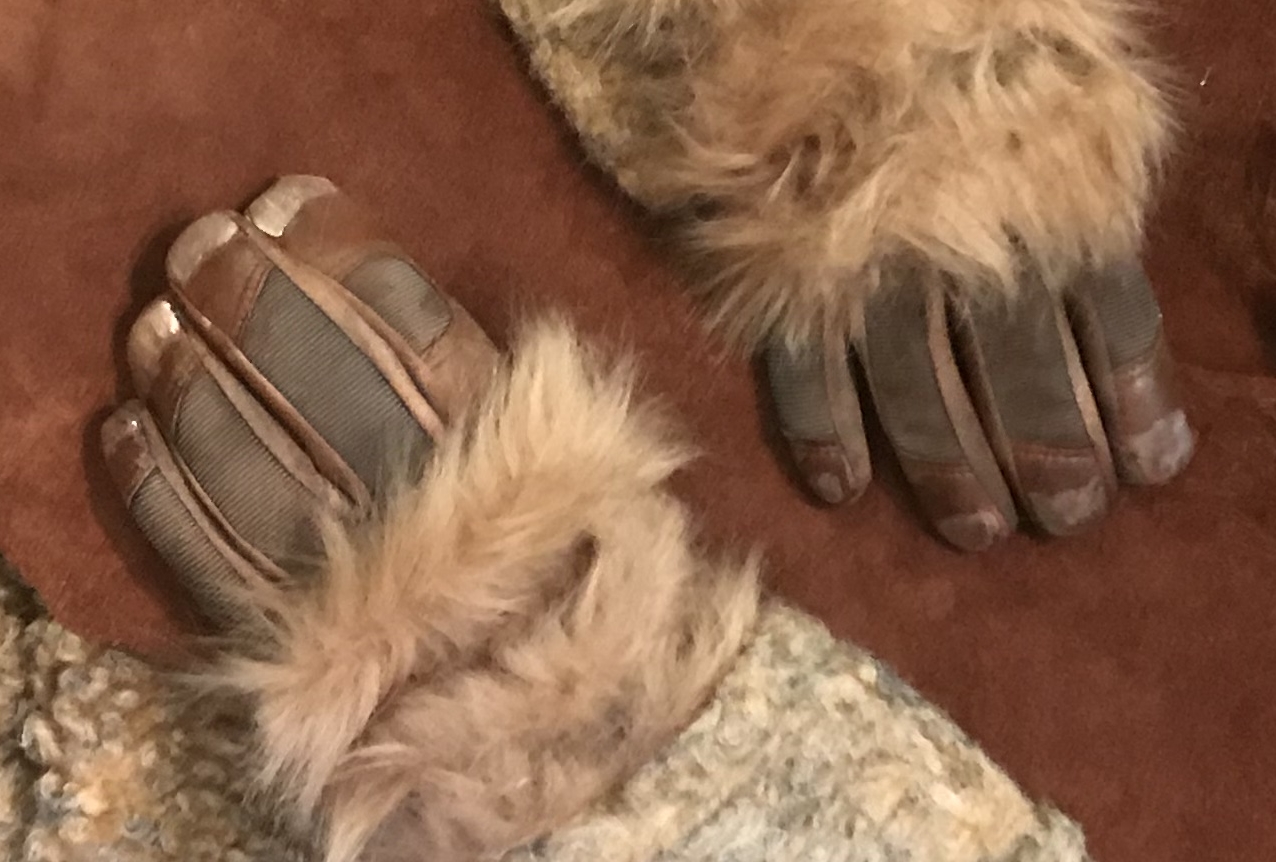 ewok gloves.jpg