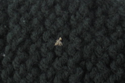example2_tn_08.jpg