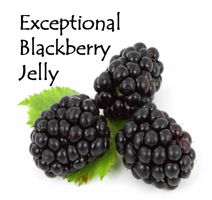 exceptional_BB_jelly.png