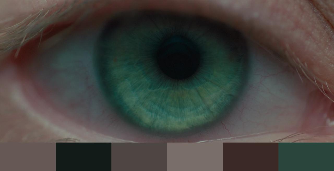 exp1_palette.jpg