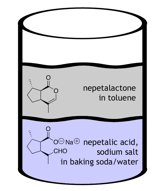 extdiagram4.jpg