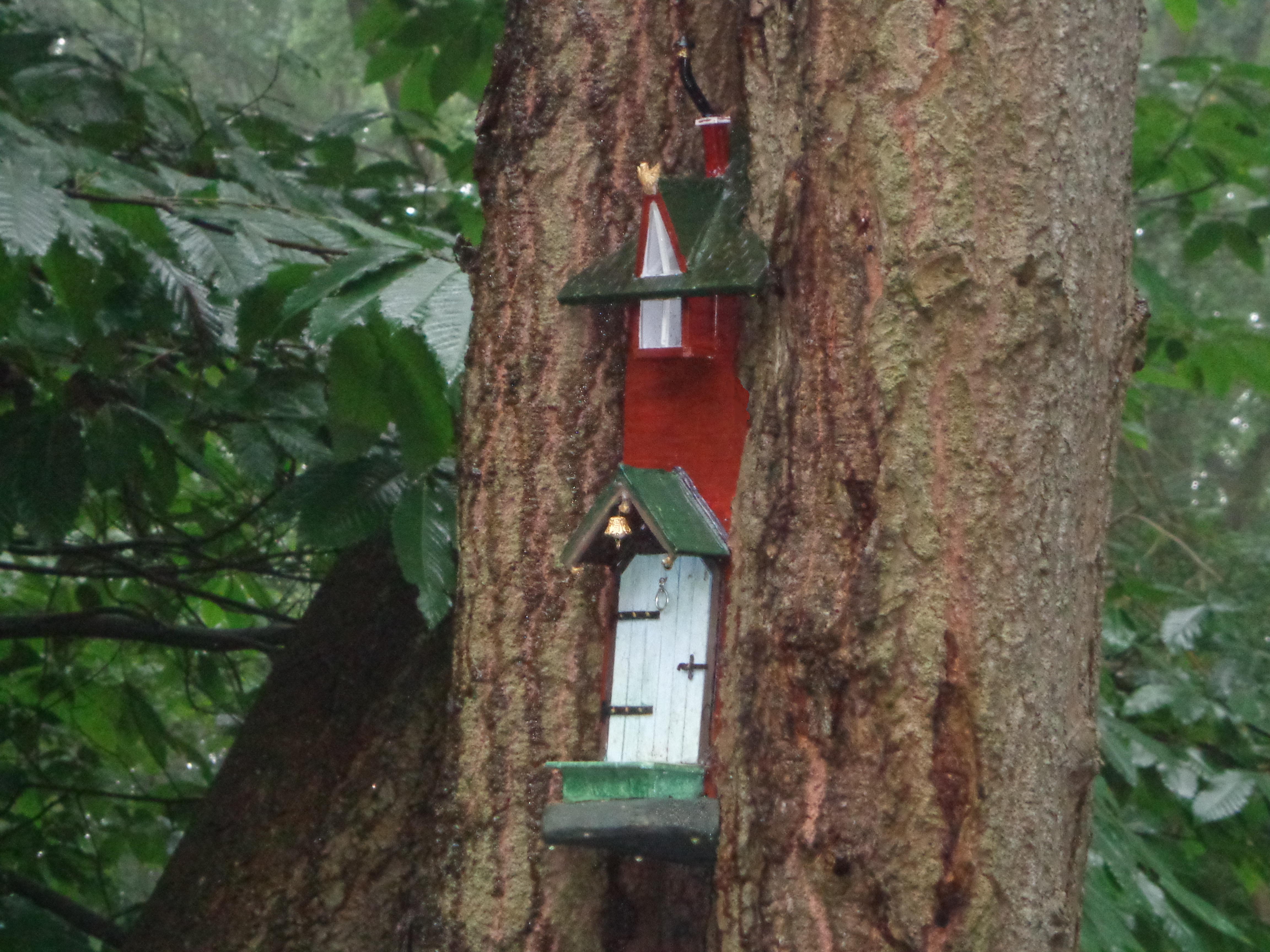 fairy home in place.JPG