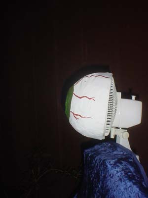 faneyeball4.jpg