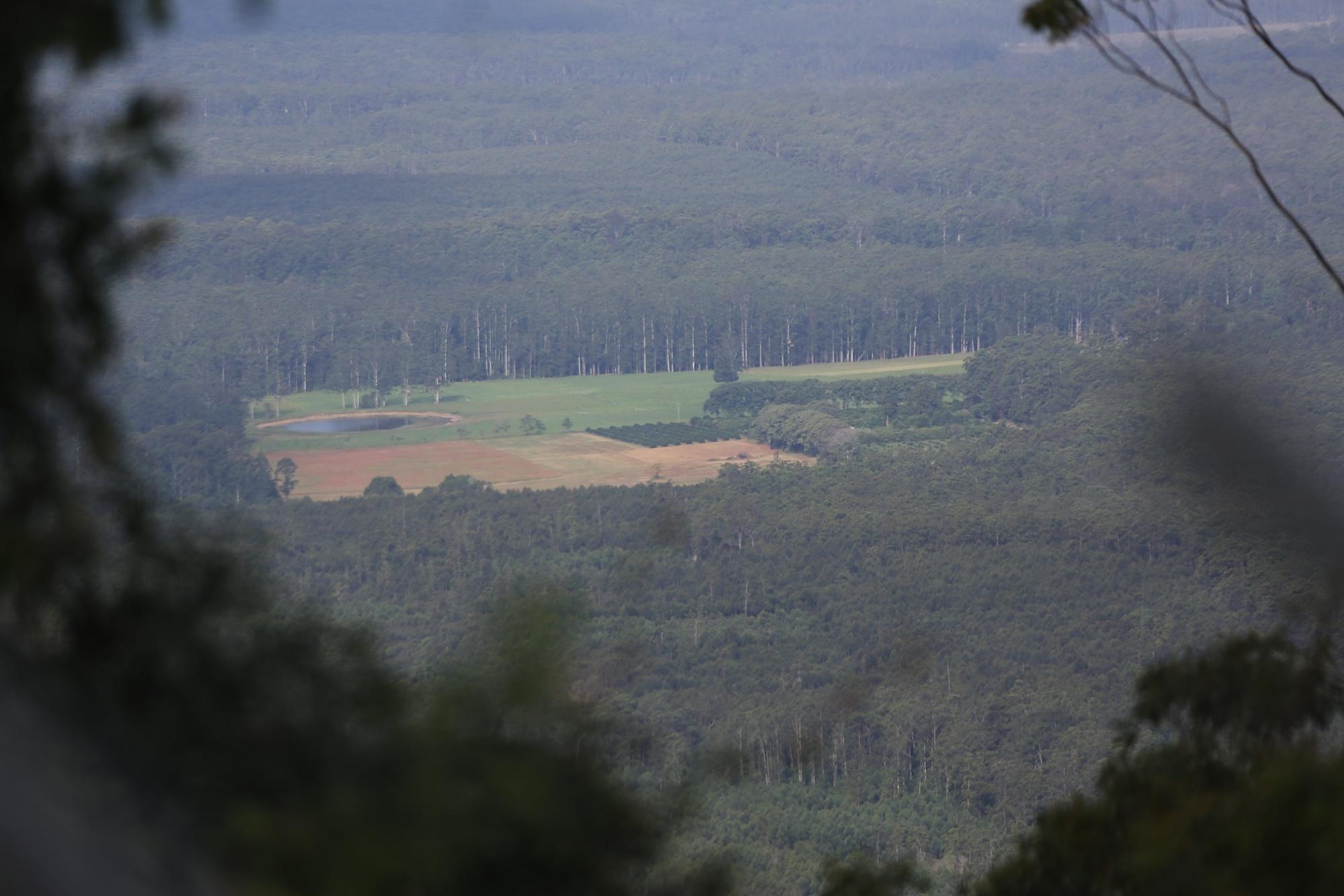 farm aerial 1.jpg