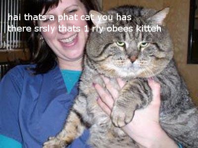 fatcat2.jpg