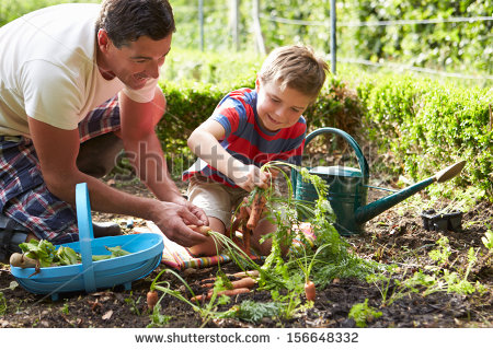 father and son plant carrots.jpg