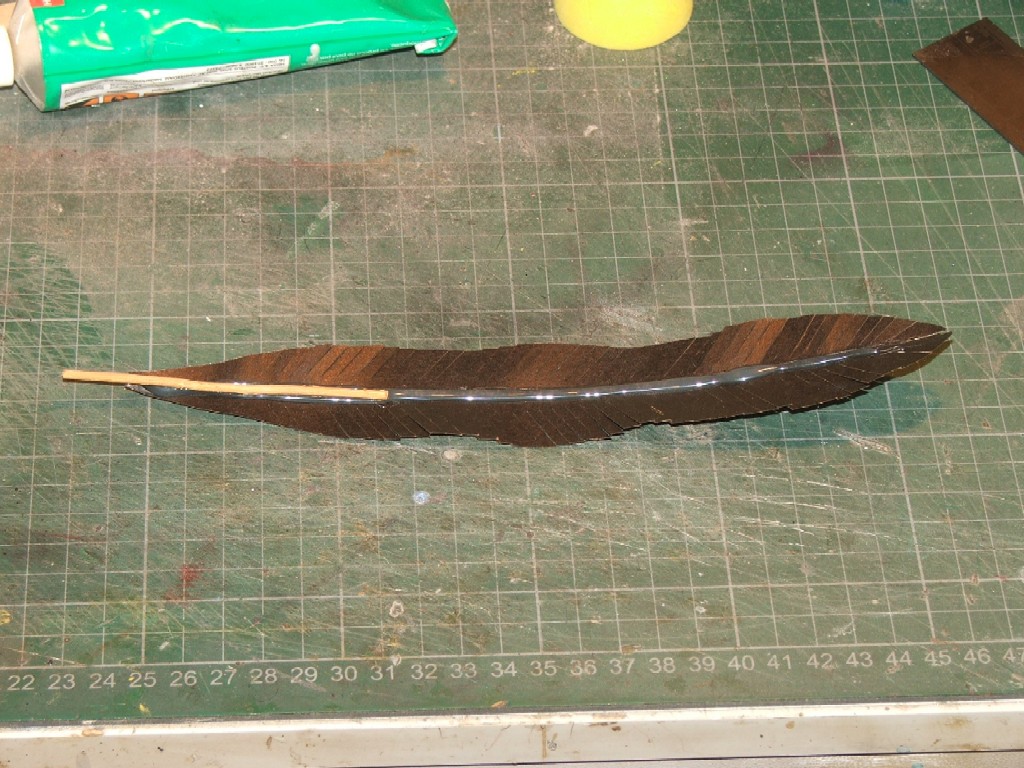 feather007.jpg