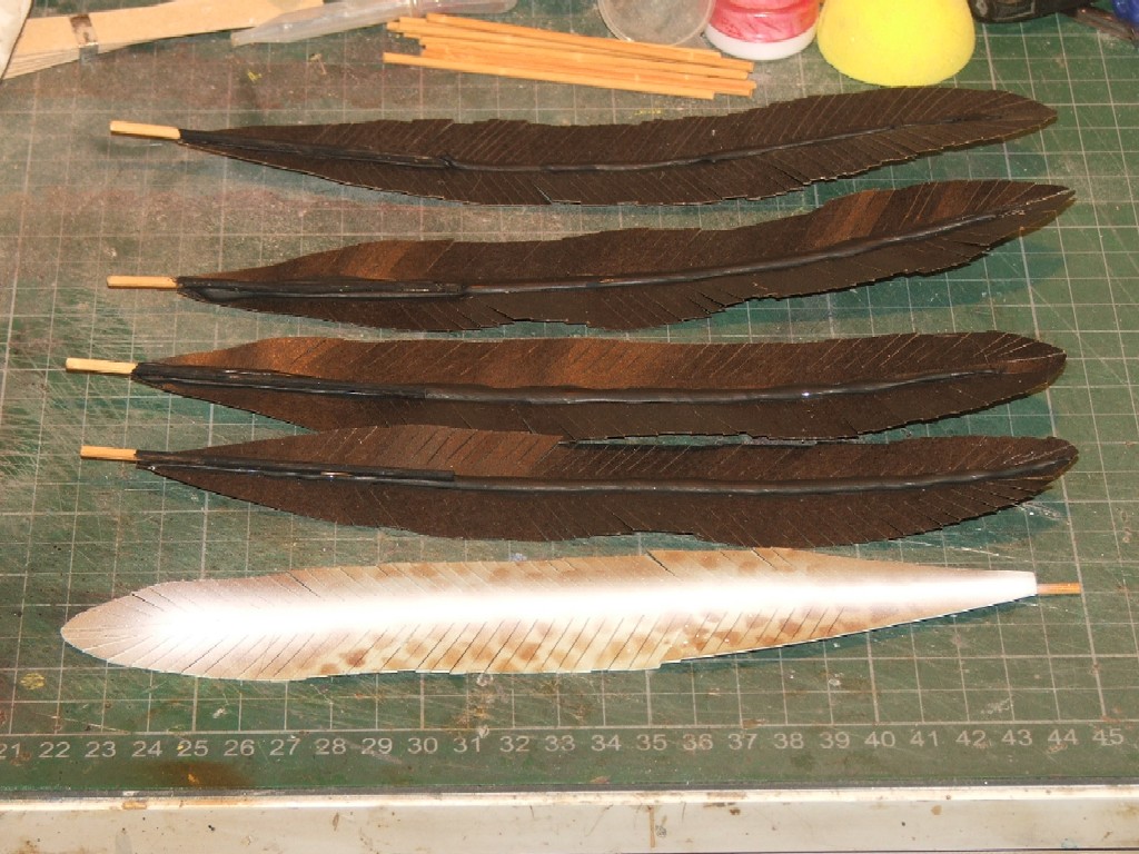 feather008.jpg