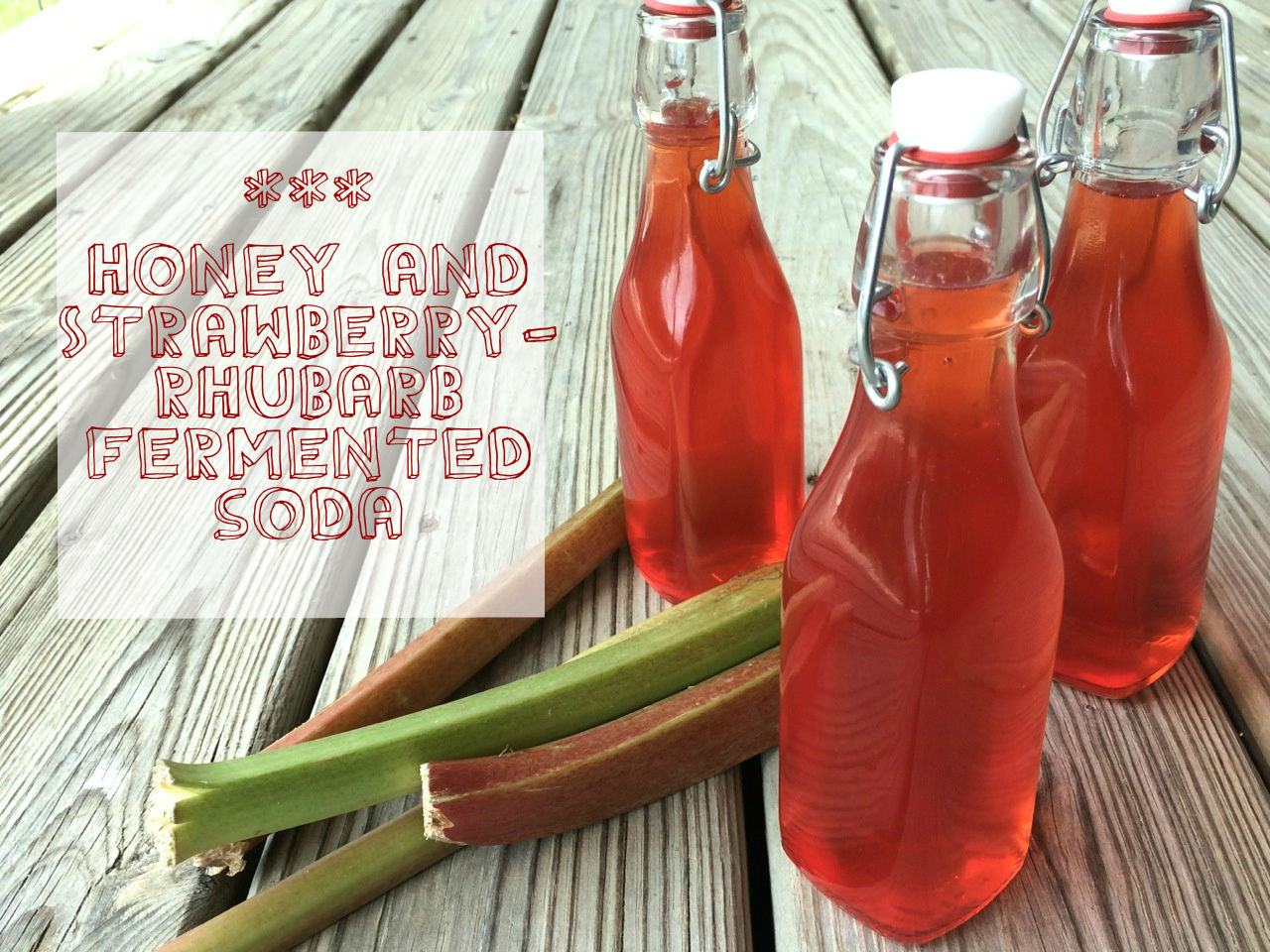 fermented rhubarb soda w words.jpg