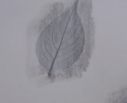 feuille4.jpg