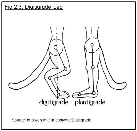 fig 2-3.JPG