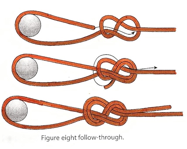 fig8followthrough002.jpg