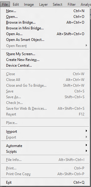 file menu.png