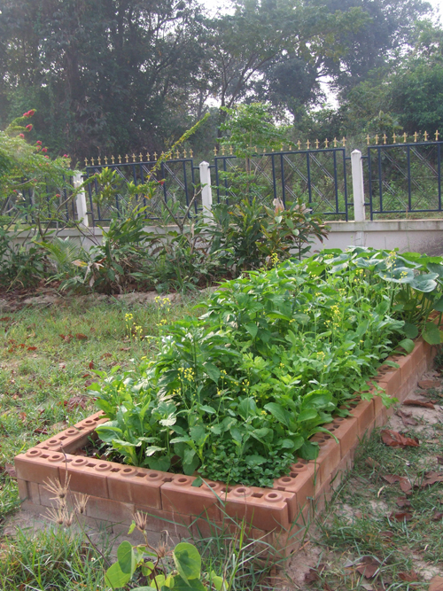 final garden2.JPG