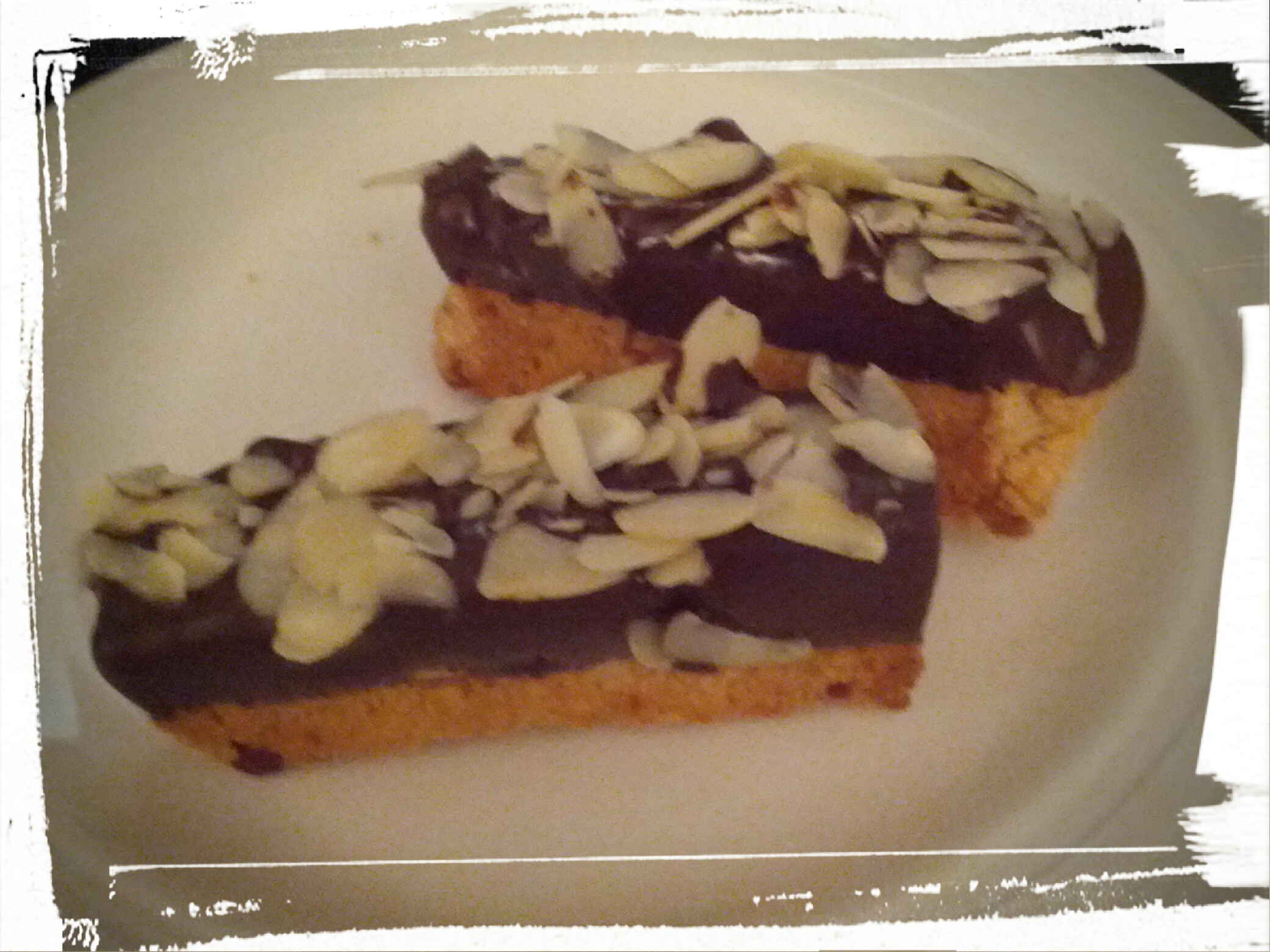 finished orange chocolate biscotti.jpg