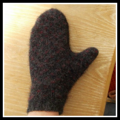 finished-mitten-.jpg